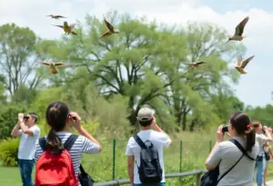Participants observing birds at Holliday Park